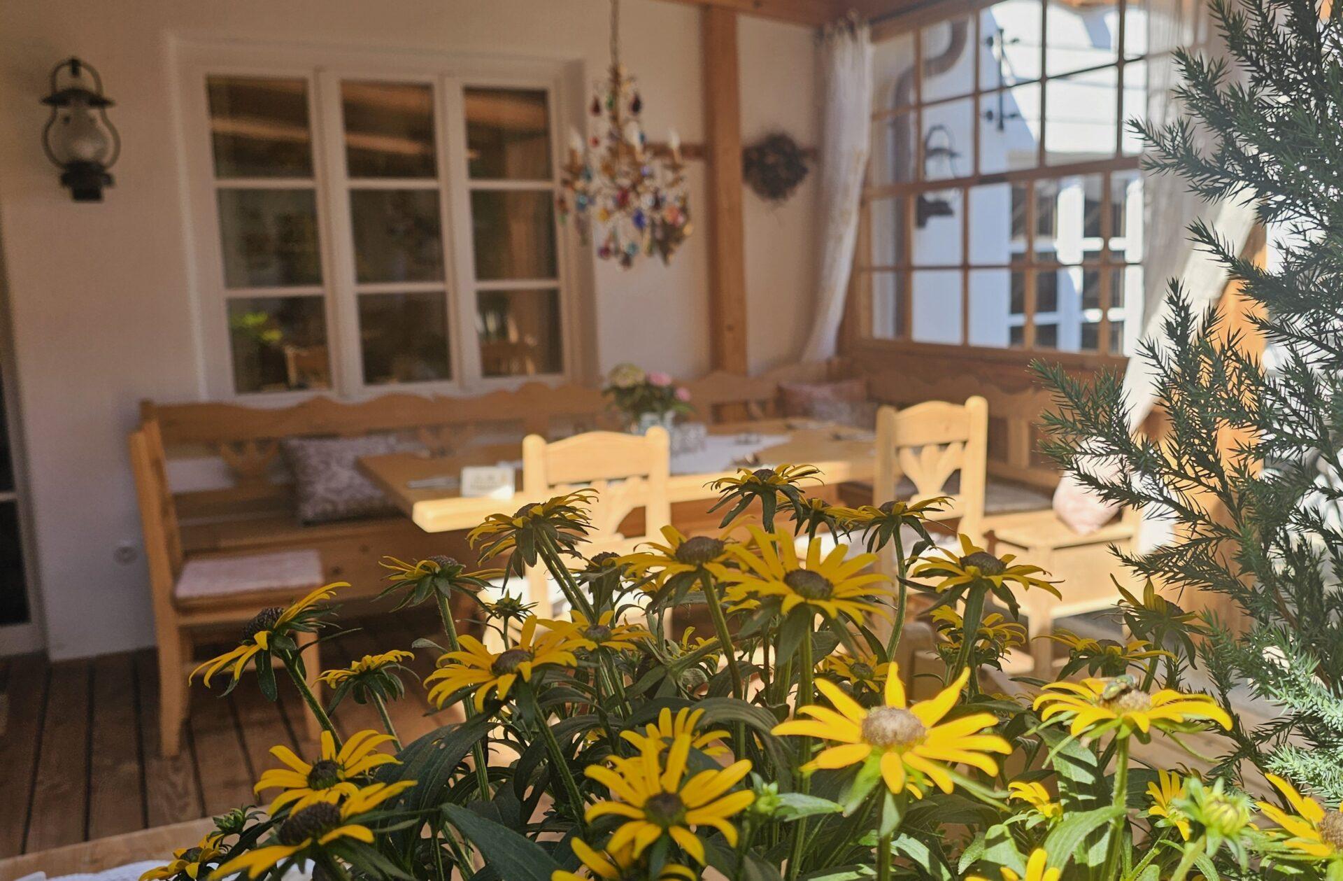 Gastgarten